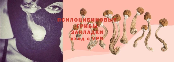 ECSTASY Алзамай