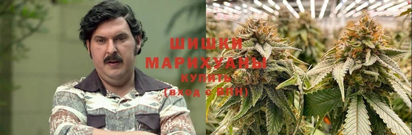 ECSTASY Алзамай