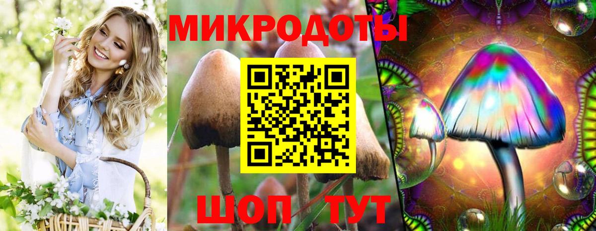Псилоцибиновые грибы GOLDEN TEACHER  Вход с VPN  Краснокамск  Псилоцибиновые грибы Psilocybine cubensis 